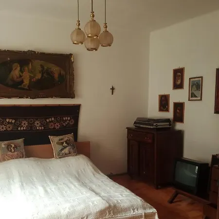 Sarga Katica Vendeghaz *
